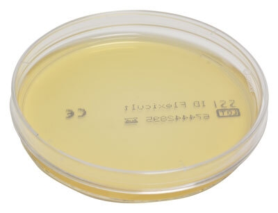 Chrom agar plader ID Flexicult, Kølevare