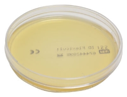 Chrom agar plader ID Flexicult