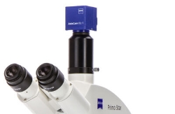 Mikroskopkamera HD Zeiss