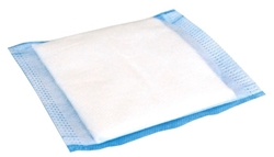evercare® Optimia Absorbent dressing
