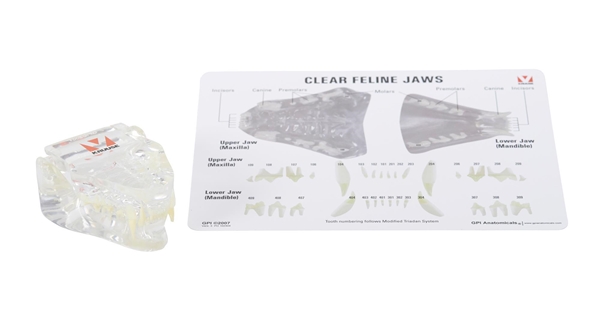 Kruuse kissan leuan malli, 7x5x3 cm