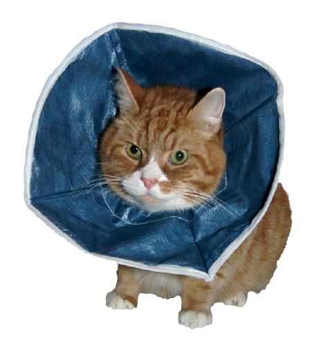 Buster kauluri kissoille, Kangas, sin. 10kpl/ltk