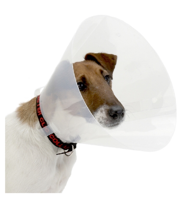 Buster Kauluri 40 cm, läpinäkyvä, 1kpl