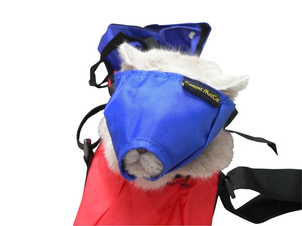 Buster kuonoside kissa koko S, pun. Nylon, 1kpl