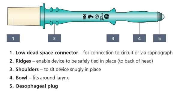 V-gel maski R2  (1,0-2,0 kg), Larynx-maski kaneille, kertak.
