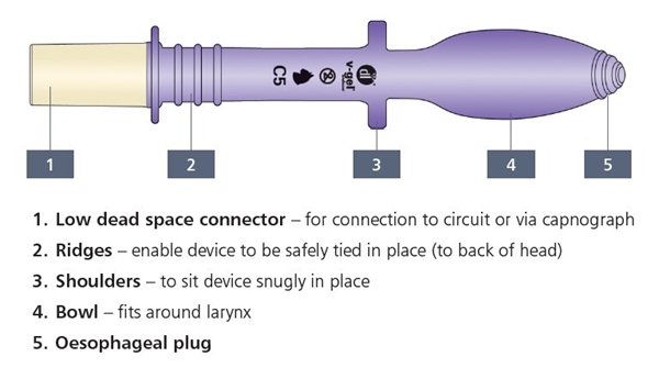 V-gel maski C2 (1,5-3 kg), Larynx-maski kissoille, kertak