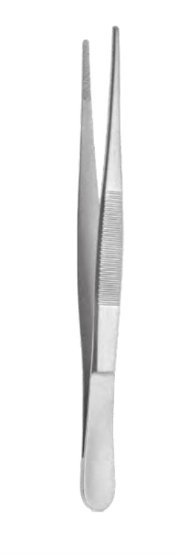 Atula anat. medium 14.5cm