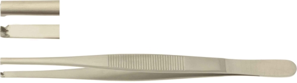 Atula  15,5 cm 2X3 teeth, 1 KPL