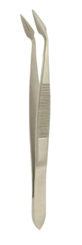 Vierasesineatula Hunter käyrä, 10,5 cm, papukaija atula