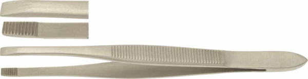 Atula Douglas Cilia  9cm