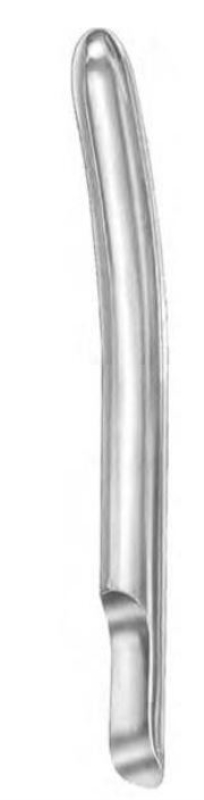 
, yksipäinen, kartiokärki