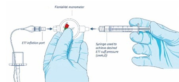Fioniavet Manometri, intubaatiotuubeille 1kpl - 2
