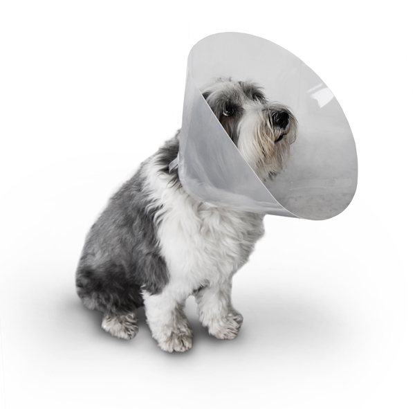 FioniaVet Kauluri Snap N Go, 20cm 10kpl - 1