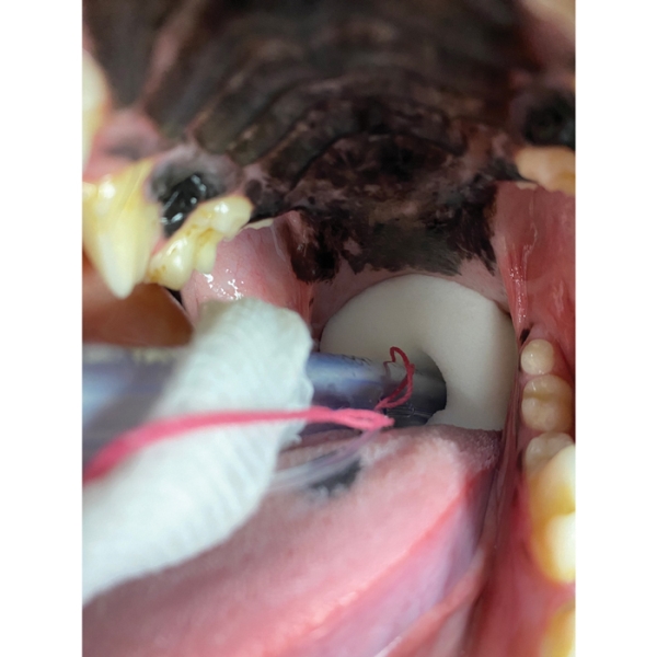 iM3 Aspir-Guard large, 3kpl - 3