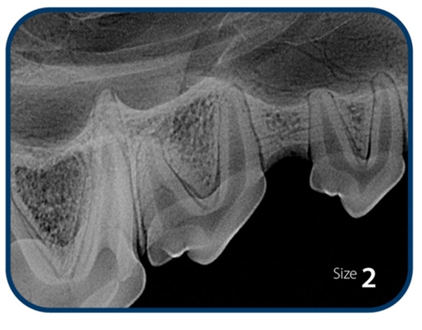 iM3 Kuvalevy koko 2, Käy uuteen CR 7 2.0 tai CR 8 - 3
