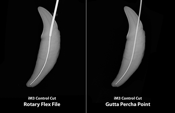 Control Cut Rotary Flex Files, 60mm ISO 025-060 8kpl setti - 3
