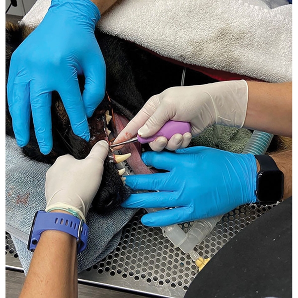 iM3 Ergo luksaattori, XS lila setti 5kpl - 3