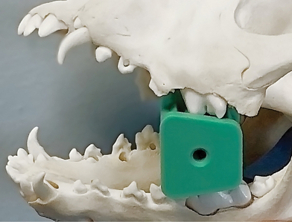 iM3 Suunavaaja kumia posterior, L 30x40x30mm sin 1kpl - 2