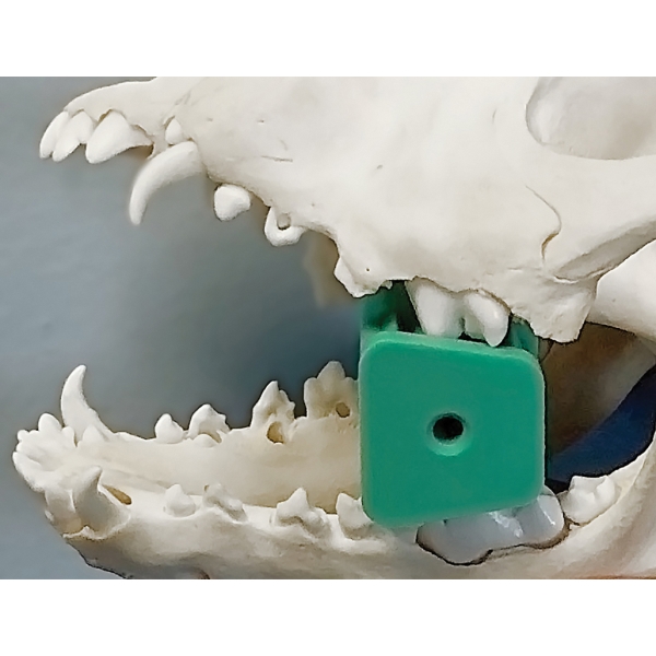 iM3 Suunavaaja kumia posterior, S 30x25x20mm vihr 1kpl - 2