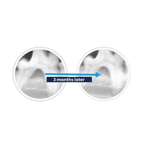 ReGum Vet Dental Implant, neliö 6kpl - 2