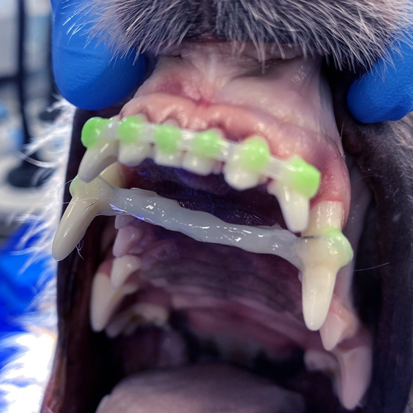 COLOURFLOW komposiitti , vihreä 1g ruisku 1kpl - 2