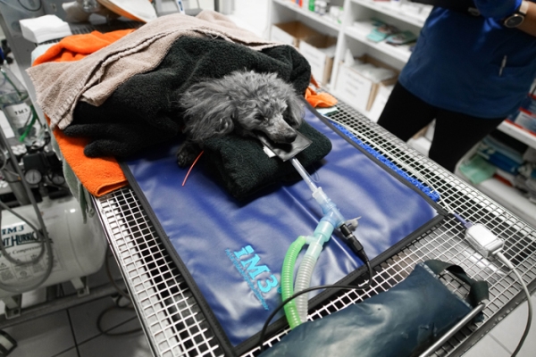 Hammas RTG matto, 40x40cm 1kpl - 2