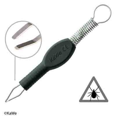 Punkkipihti Kawe, 1KPL