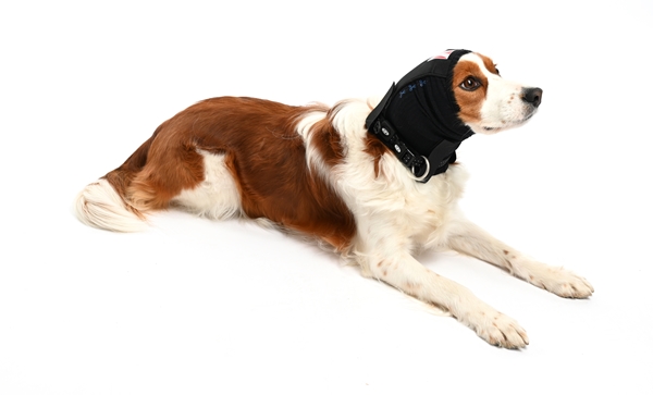 BUSTER-korvasuojus koirille ja kissoille, Aloituspakkaus 6kpl XS-XXL  - 3