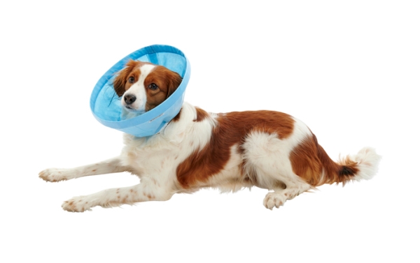 Buster Soft Flex kauluri sininen, 12,5cm 5kpl