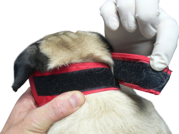 Buster kuonoside lyhytkuono, punainen nylon koko S 1kpl - 2