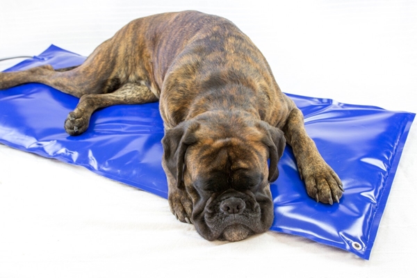 Carbon Tech lämpömatto , 112x52cm, 24V