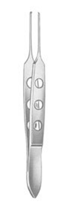 Bishop-Harman Iris atulat fine, 1X2 T, 8,5 cm