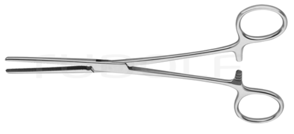 Rochester-Pean suora 24cm