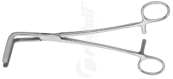 Pihti Wertheim-Culle taiv 21,5