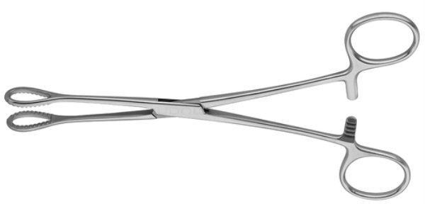 Pihti Förster suora 25cm