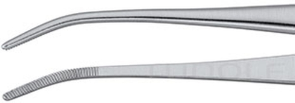 Irisatula anat taiv. 10.5cm