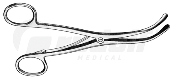 Trakean levitin (Trousseau), 5,5"