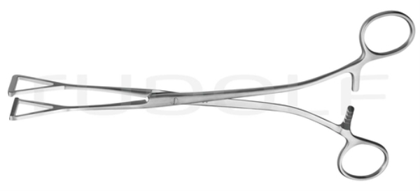 Pihti kolmio kärkihammastus, 23cm