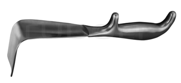 Doyen spekula 55x35MM