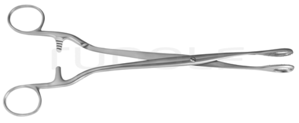 Noto Ut. polypus fcps, 10 1/2"