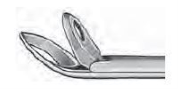 Weilinpihti 45 -ast 3,5mm, 1 CM, Blakesley