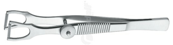 Columella-atula 10cm, 1KPL