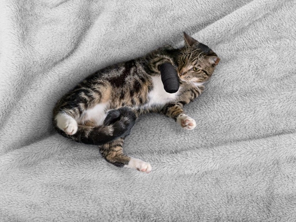 Snögg joustoside, musta 10cmx4,5m 1kpl - 2