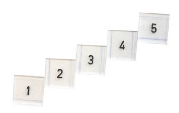 Röntgenmärke siffror 1-5, numrering fingrar och tår