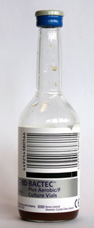 Flaska för blododling BD BACTEC Plus, Aerobic/F Medium    grå/blå