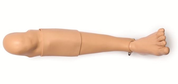 Övningsben Laerdal, Vuxen