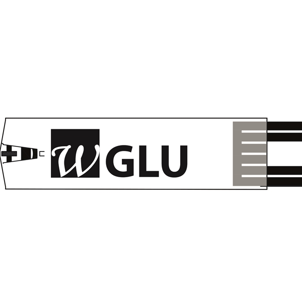 Teststickor Wellion GALILEO, Wellion Galileo - 2