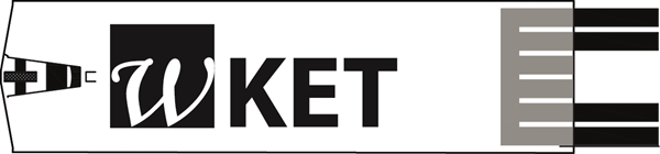 Teststicka blodketoner, Wellion Galileo - Wellion - 2