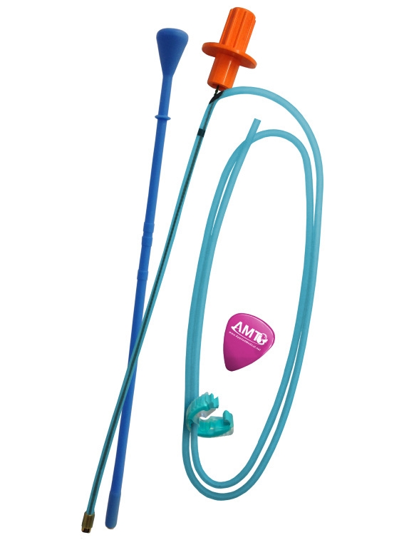 Sondfixering Bridle Pro, 8-10Fr turkos