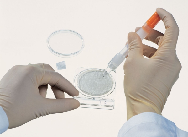 Agarplatta SL, Compact Dry